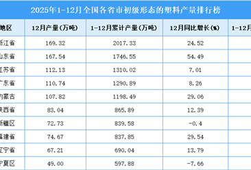2025年全国各省市初级形态的塑料产量排行榜