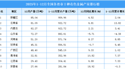2025年全国各省市十种有色金属产量排行榜