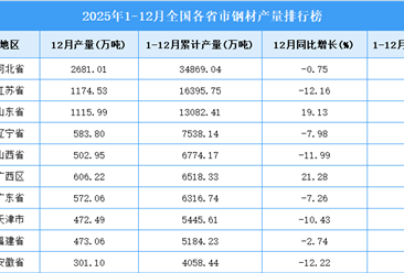 2025年全国各省市钢材产量排行榜