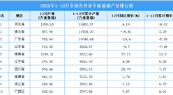2025年全国各省市平板玻璃产量排行榜