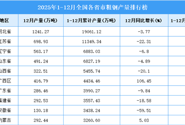 2025年全国各省市粗钢产量排行榜