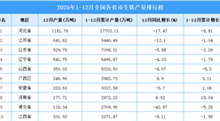 2025年全国各省市生铁产量排行榜
