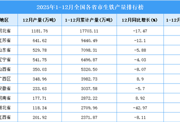 2025年全国各省市生铁产量排行榜
