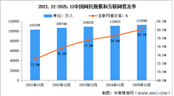 2025年中国互联网网民结构状况分析：网民规模达11.25亿（图）
