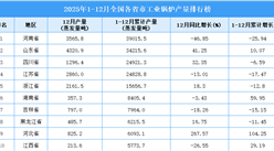 2025年全國(guó)各省市工業(yè)鍋爐產(chǎn)量排行榜
