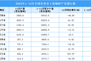 2025年全国各省市工业锅炉产量排行榜