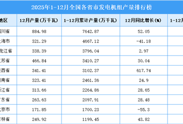 2025年全国各省市发电机组产量排行榜