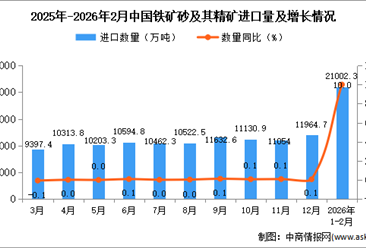 2026年1-2月中国铁矿砂及其精矿进口数据统计分析：进口量21002.3万吨