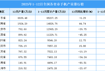 2025年全国各省市手机产量排行榜