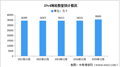2025年中国IPv6及IPv4地址数量分析（图）