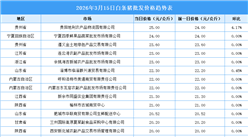 2026年3月16日全国各地最新白条猪价格行情走势分析