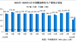 2026年2月中国燃油摩托车产销情况：销量同比增长8.95%（图）