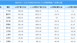 2025年全國各省市電子計算機(jī)整機(jī)產(chǎn)量排行榜