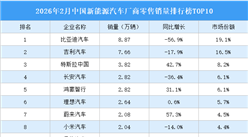 2026年2月中国新能源汽车厂商零售销量排行榜TOP10（附榜单）