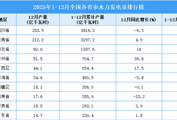 2025年全国各省市水力发电量排行榜