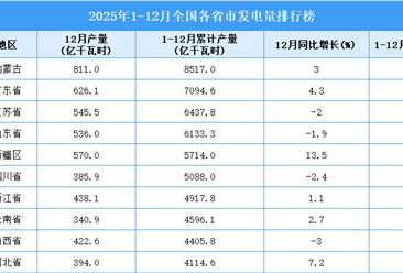 2025年全国各省市发电量排行榜