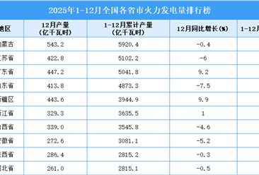 2025年全国各省市火力发电量排行榜