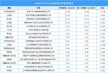 2026年3月19日全國(guó)各地最新雞蛋價(jià)格行情走勢(shì)分析