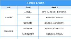 2026年中国具身智能行业市场前景预测研究报告（简版）