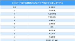 2025年中國交流側(cè)儲能系統(tǒng)企業(yè)全球出貨量排行榜TOP15（附榜單）