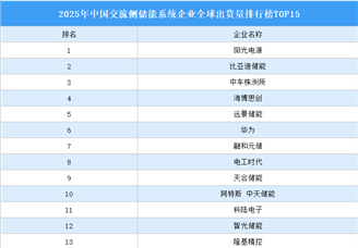 2025年中国交流侧储能系统企业全球出货量排行榜TOP15（附榜单）