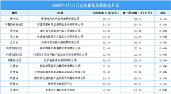 2026年3月23日全國(guó)各地最新白條豬價(jià)格行情走勢(shì)分析