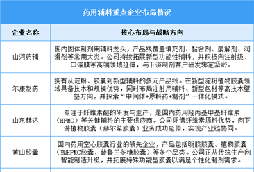 2026年全球药用辅料市场规模及中国重点企业布局情况预测分析（图）