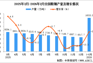 2026年1-2月全国粗钢产量数据统计分析