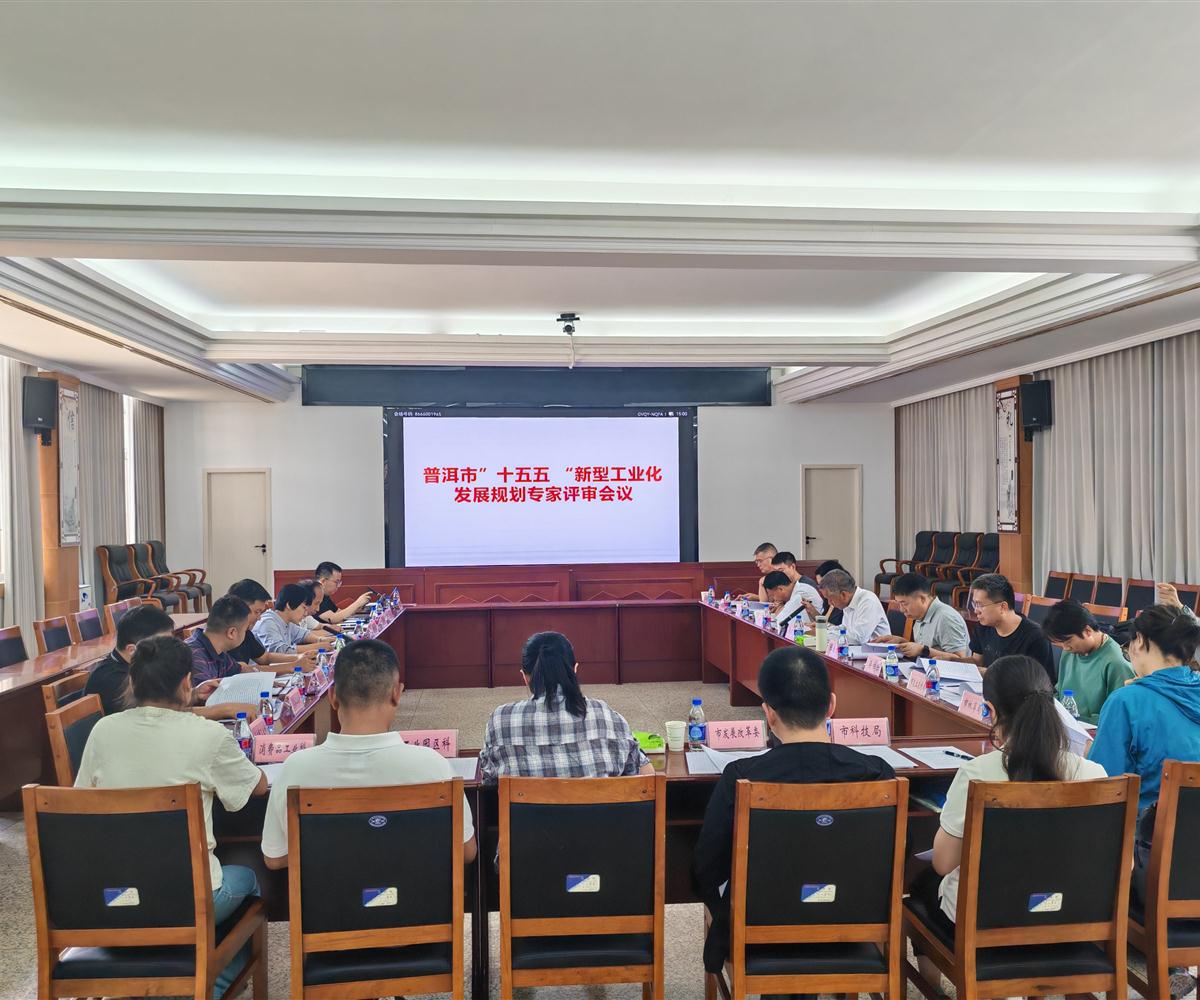 《普洱市“十五五”新型工业化发展规划》 通过专家评审