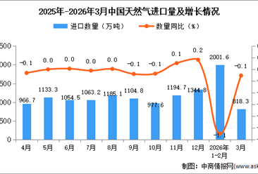 2026年3月中国天然气进口数据统计分析：进口量818.3万吨