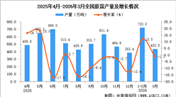 2026年3月全国原盐产量数据统计分析
