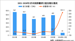 2026年1-3月中国食糖进口数据统计分析：进口量62万吨