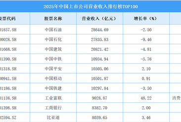2025年中国上市公司营业收入排行榜TOP100（附榜单）
