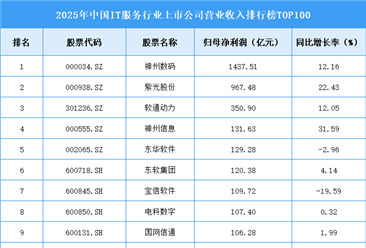 2025年中国IT服务行业上市公司营业收入排行榜TOP100（附榜单）