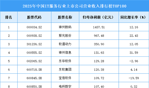 2025年中国IT服务行业上市公司营业收入排行榜TOP100（附榜单）