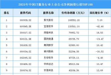 2025年中国IT服务行业上市公司净利润排行榜TOP100（附榜单）