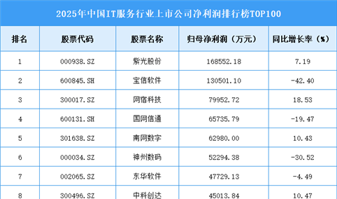 2025年中国IT服务行业上市公司净利润排行榜TOP100（附榜单）