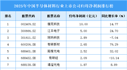 2025年中国半导体材料行业上市公司净利润排行榜（附榜单）