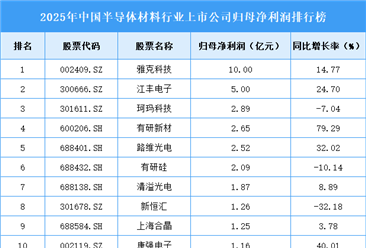 2025年中国半导体材料行业上市公司净利润排行榜（附榜单）