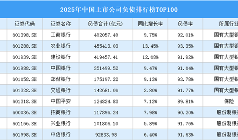 2025年中国上市公司负债排行榜TOP100（附榜单）