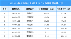 2025年中国锂电池行业上市公司净利润排行榜（附榜单）