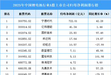 2025年中国锂电池行业上市公司净利润排行榜（附榜单）