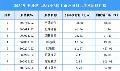 2025年中国锂电池行业A股上市公司归母净利润排行榜（附榜单）
