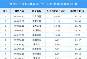 2025年中国半导体设备行业上市公司净利润排行榜（附榜单）