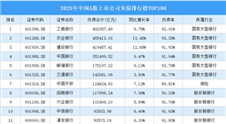 2025年中国A股上市公司负债排行榜TOP100（附榜单）