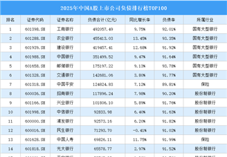 2025年中國A股上市公司負債排行榜TOP100（附榜單）