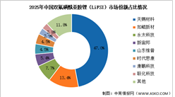 2026年中国新型锂盐双氟磺酰亚胺锂（LiFSI）出货量及竞争格局预测分析（图）