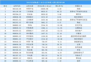 2025年深圳A股上市公司营业收入排行榜TOP100（附榜单）