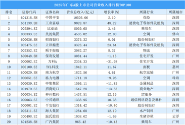 2025年广东A股上市公司营业收入排行榜TOP100（附榜单）