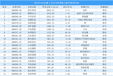 2025年山东A股上市公司营业收入排行榜TOP100（附榜单）